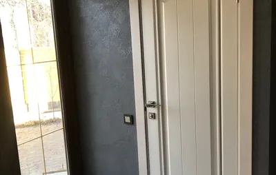 Двери из Ясеня Бело-Серебристые. Стильные межкомнатные двери